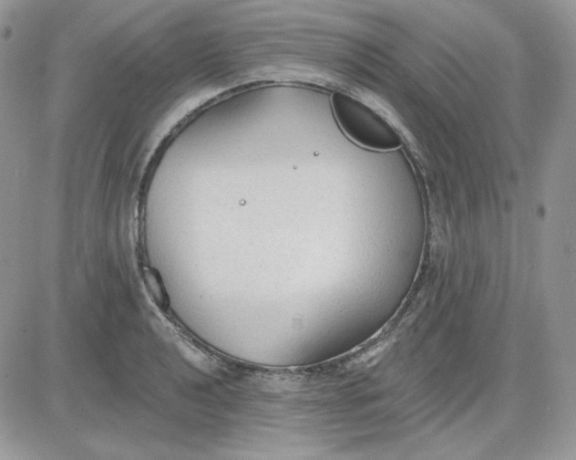 X0000081281040200701251623