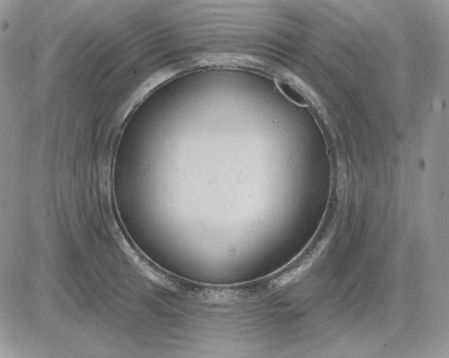 X0000081281041200701251623