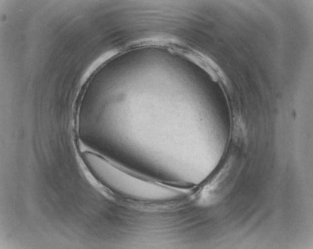 X0000081281042200701251623