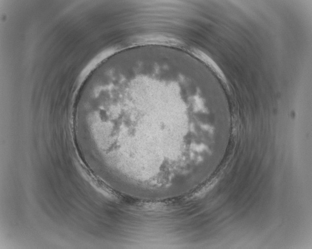 X0000081281043200701251623