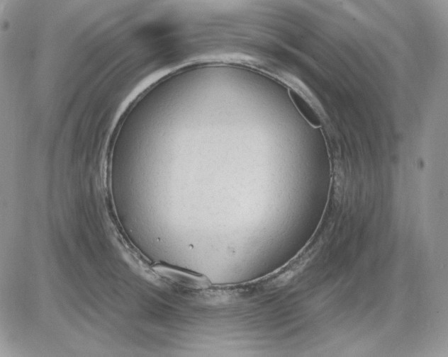 X0000081281044200701251623