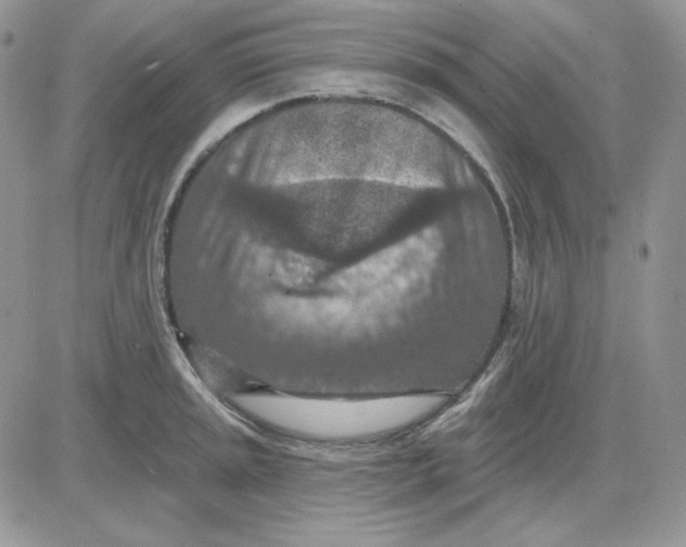 X0000081281045200701251623