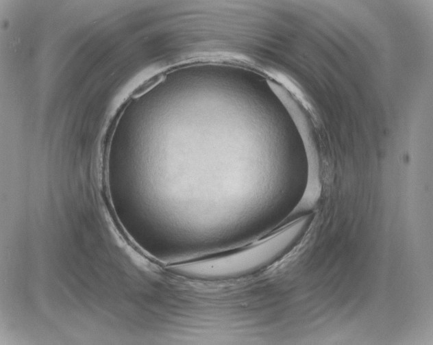 X0000081281046200701251623