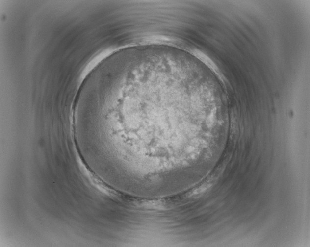 X0000081281047200701251623