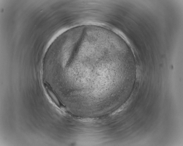 X0000081281048200701251623