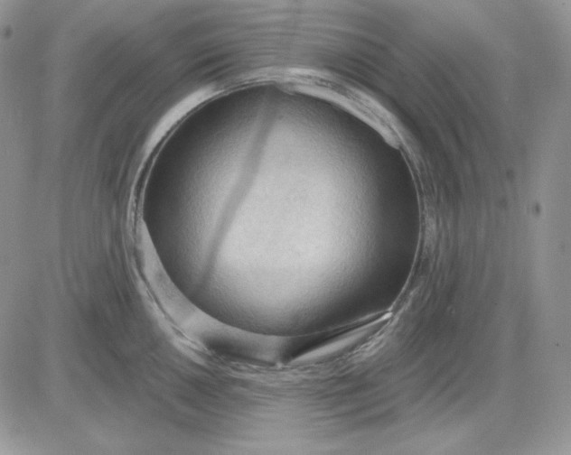 X0000081281050200701251623