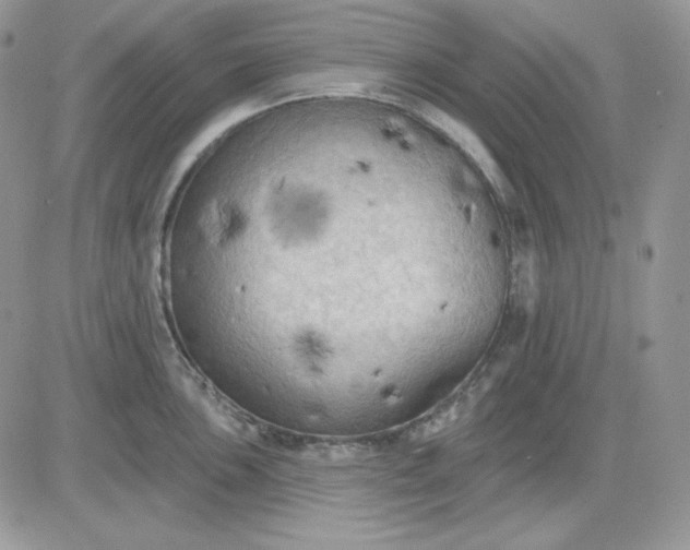 X0000081281051200701251623