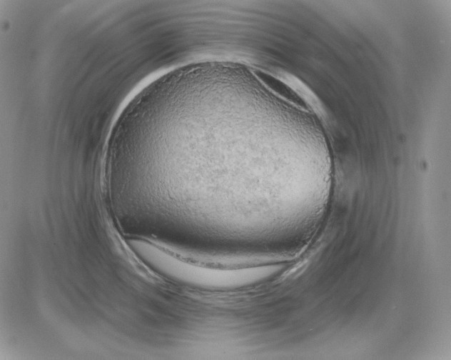 X0000081281052200701251623