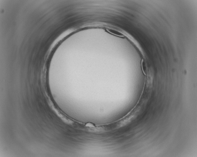 X0000081281053200701251623