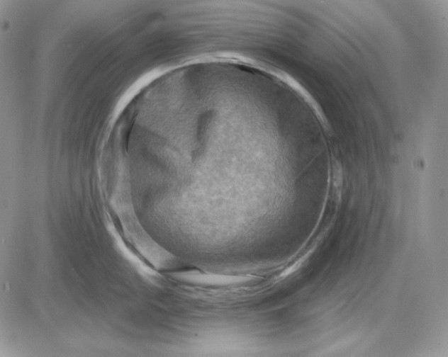 X0000081281054200701251623