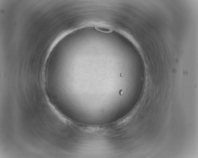 X0000081281056200701251623