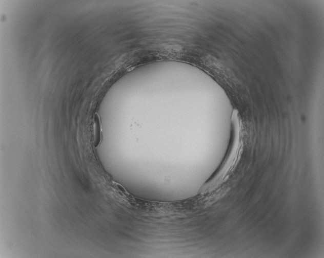 X0000081281057200701251622