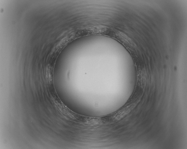 X0000081281058200701251622