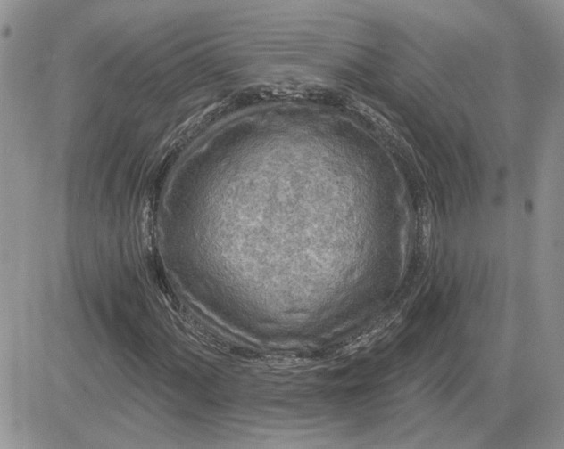 X0000081281060200701251622