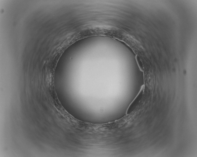 X0000081281061200701251622