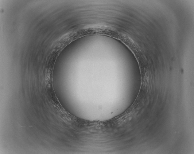 X0000081281062200701251622