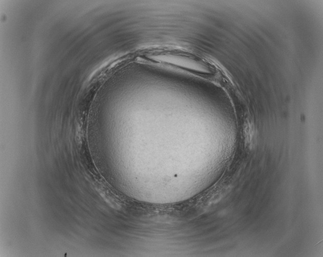 X0000081281064200701251622