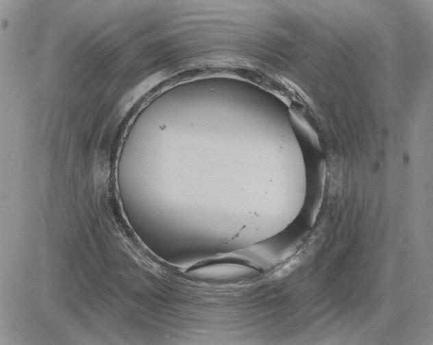 X0000081281065200701251622