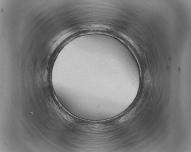 X0000081281066200701251622