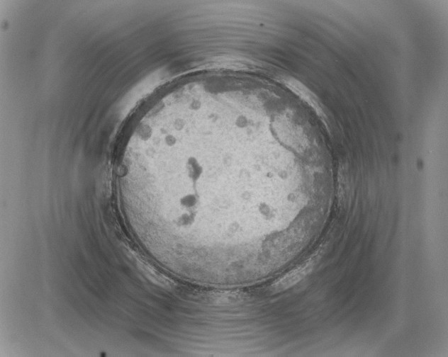 X0000081281067200701251622