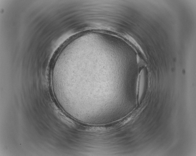 X0000081281068200701251622