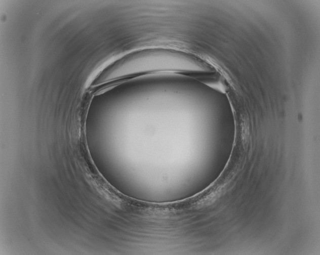 X0000081281069200701251622