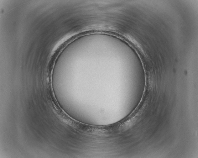 X0000081281070200701251622