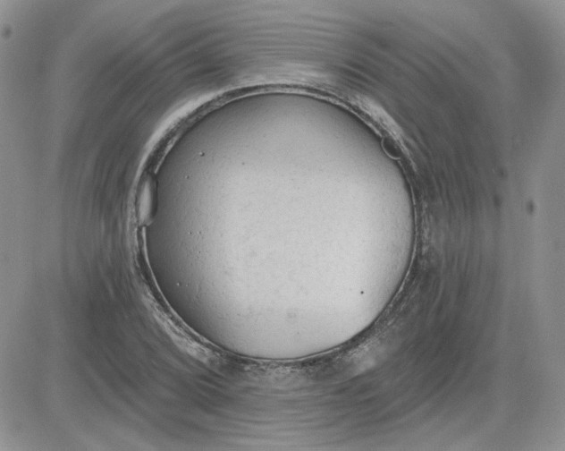 X0000081281072200701251622