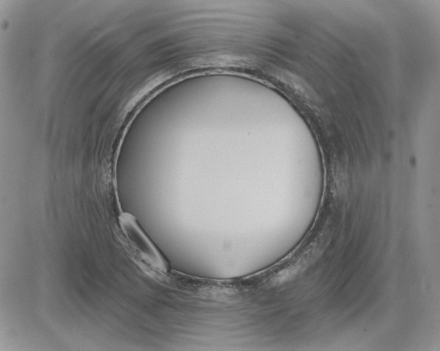 X0000081281073200701251622