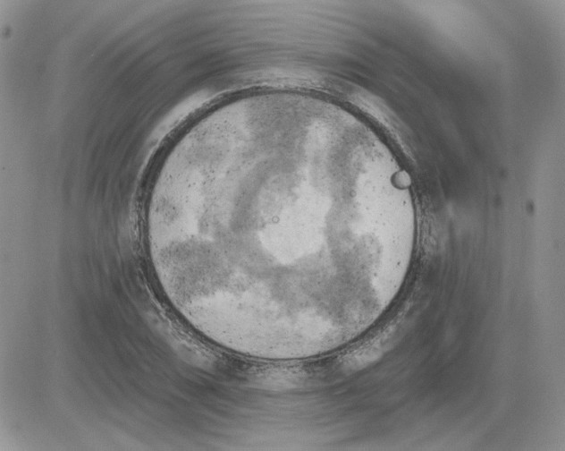 X0000081281074200701251622