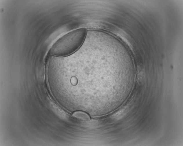 X0000081281075200701251622