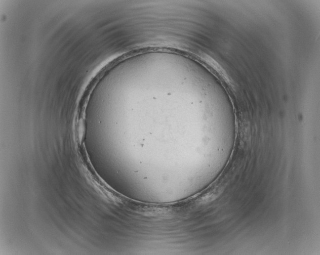 X0000081281076200701251622