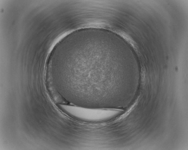 X0000081281077200701251622