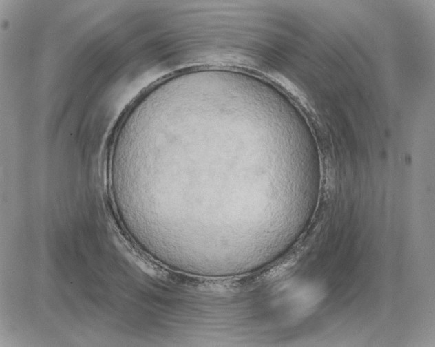 X0000081281078200701251622