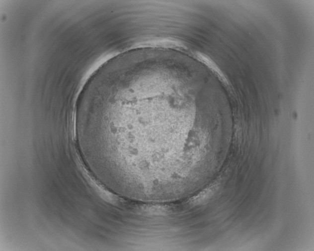 X0000081281079200701251622