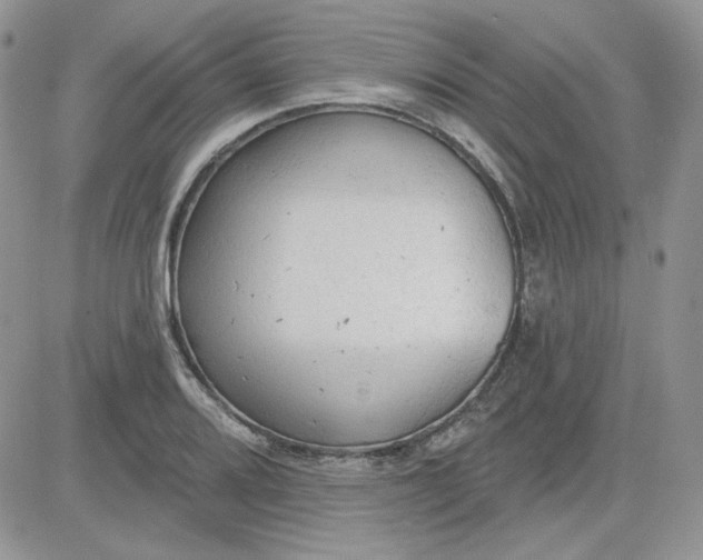 X0000081281080200701251622