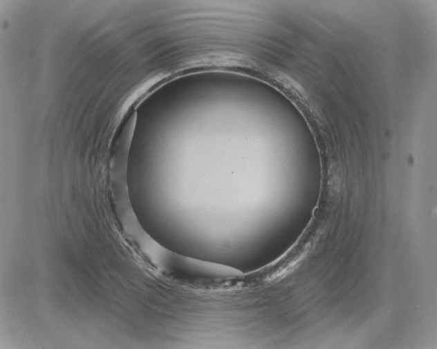 X0000081281081200701251622