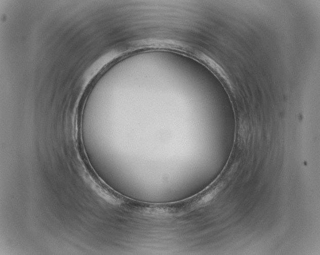 X0000081281082200701251622