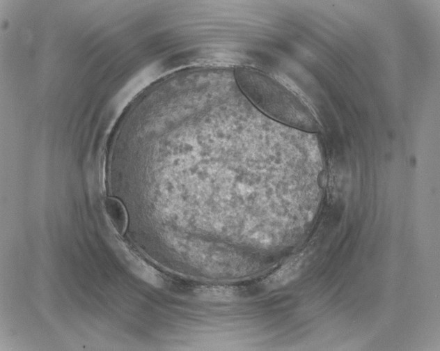 X0000081281083200701251622