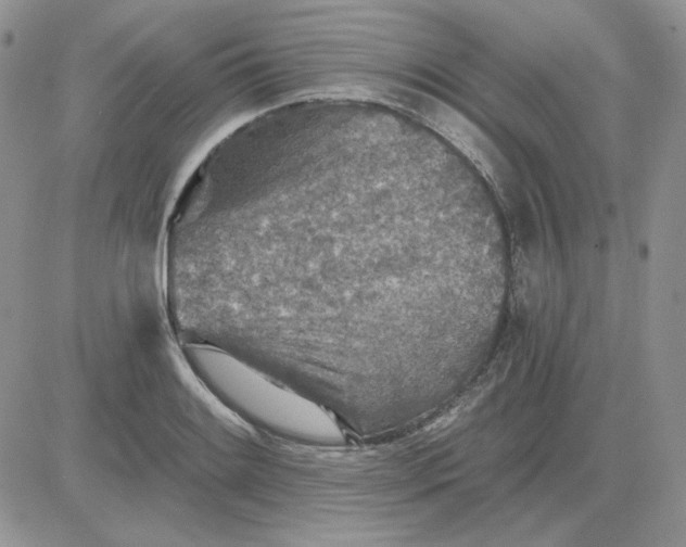 X0000081281084200701251622