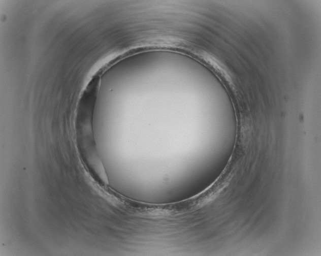 X0000081281085200701251622