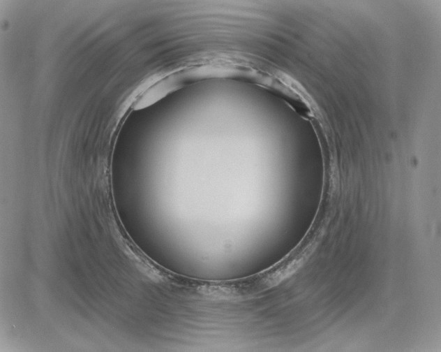 X0000081281089200701251622