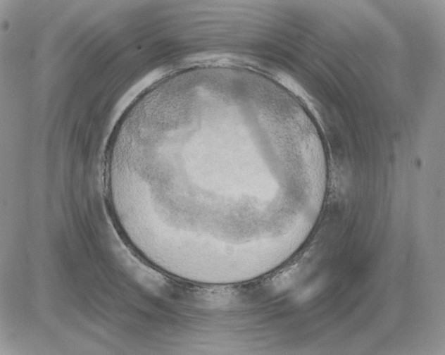 X0000081281090200701251622