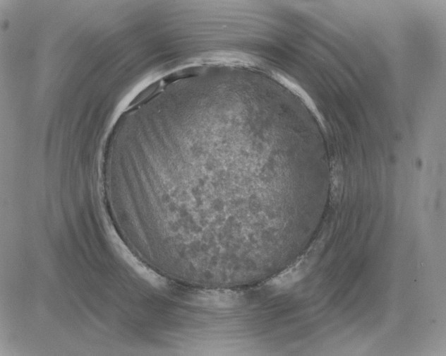 X0000081281091200701251622