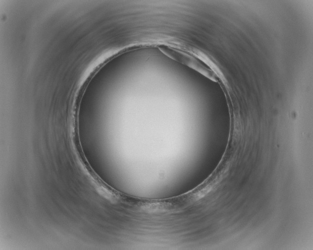 X0000081281093200701251622