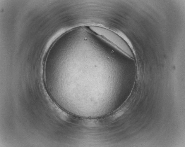 X0000081281096200701251622