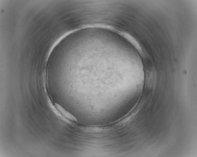 X0000081281100200701251621