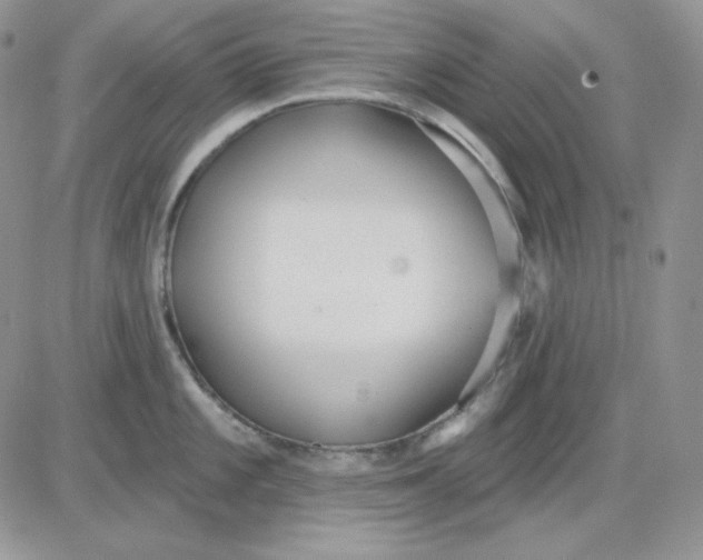 X0000081281101200701251621