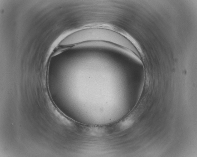 X0000081281102200701251621