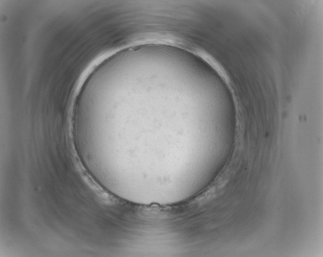 X0000081281104200701251621